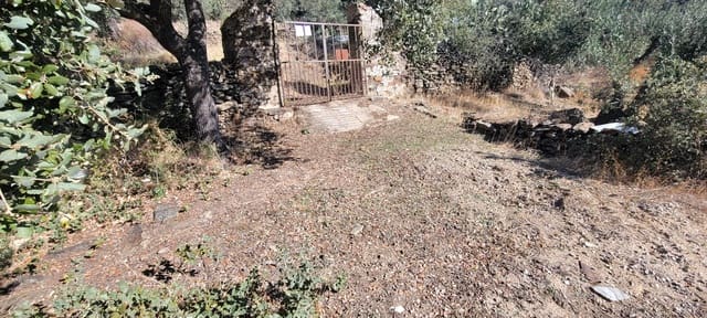 Landgrundstück zu verkaufen in Trujillo - 17.500 € (Ref: 10176106)