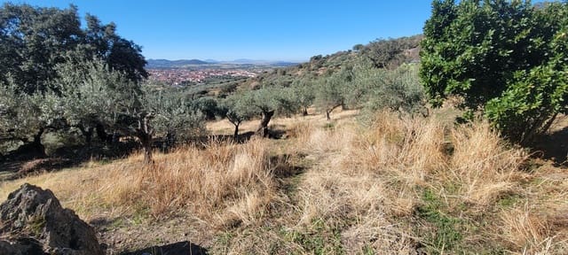 Landgrundstück zu verkaufen in Trujillo - 17.500 € (Ref: 10176106)