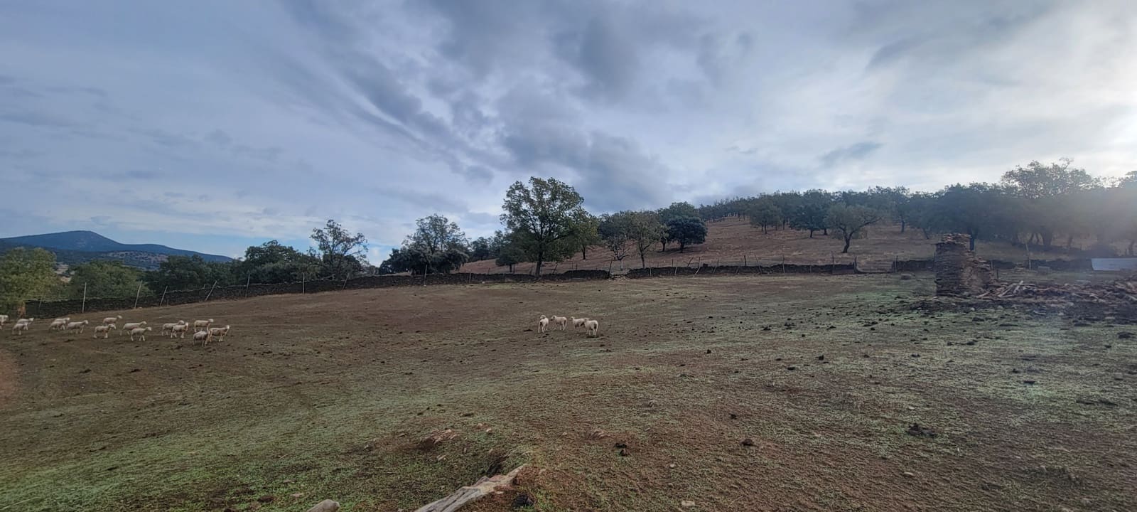 Ubebygd land til salgs i Trujillo - € 150 000 (Ref: 10176107)
