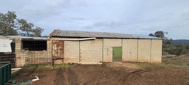 Grond te koop in Trujillo - € 150.000 (Ref: 10176107)