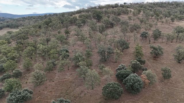 Grond te koop in Trujillo - € 150.000 (Ref: 10176107)