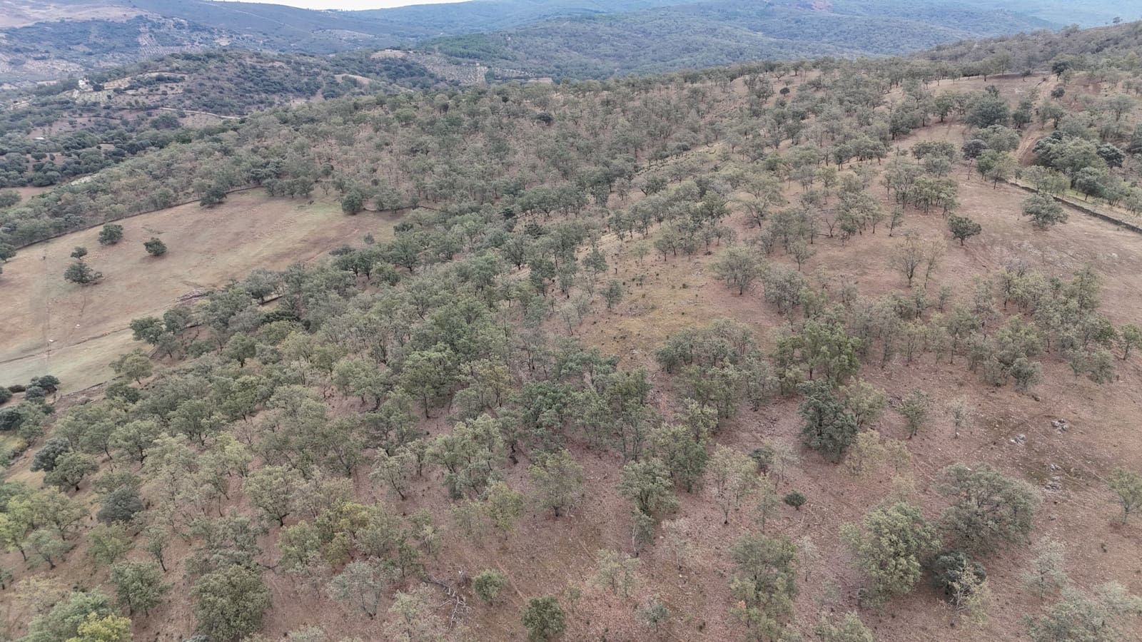 Ubebygd land til salgs i Trujillo - € 150 000 (Ref: 10176107)