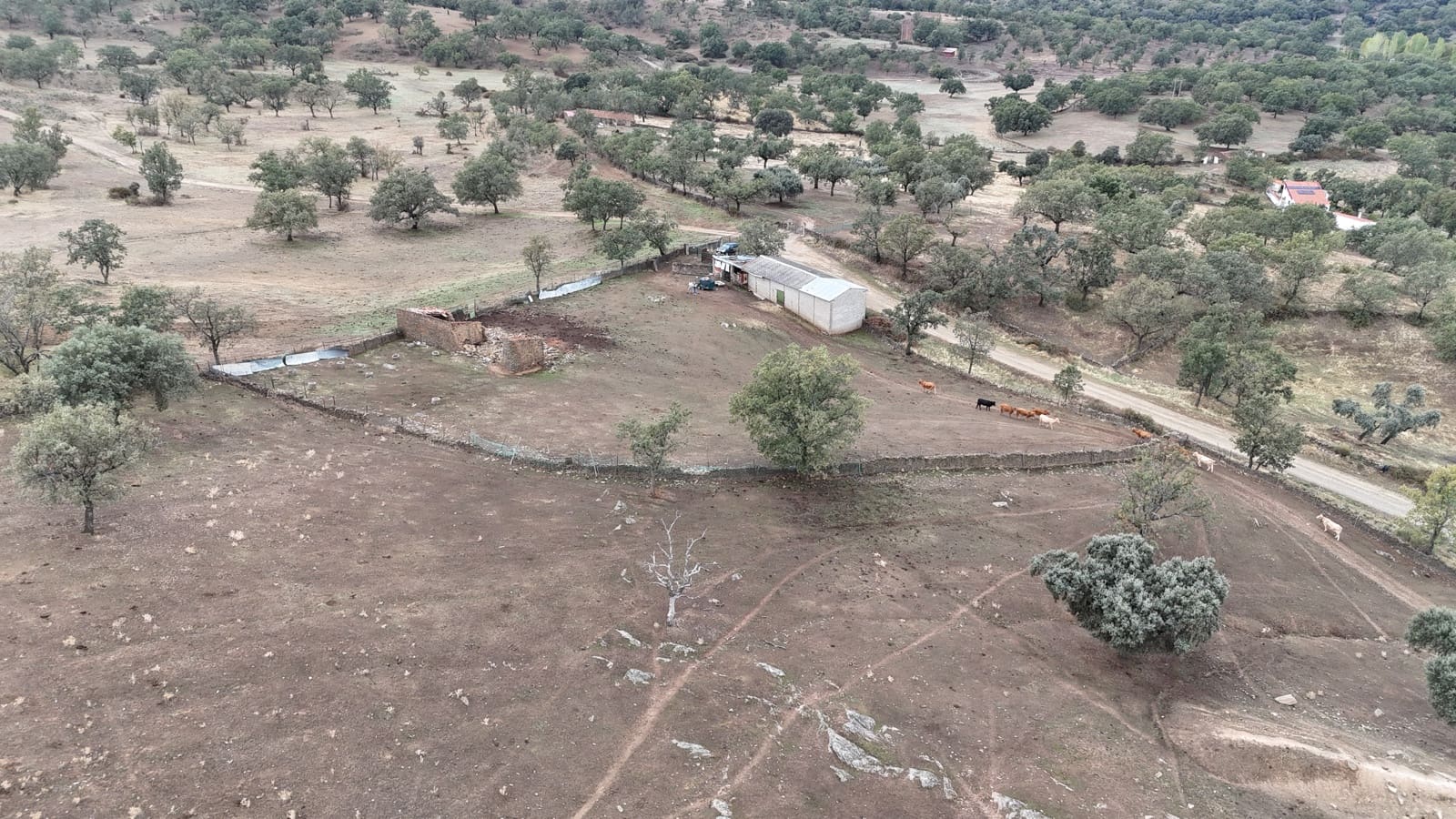 Ubebygd land til salgs i Trujillo - € 150 000 (Ref: 10176107)