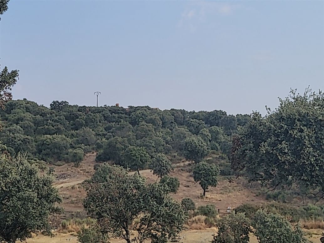 2 soveværelse Finca/Landehus til salg i Madronera - € 370.000 (Ref: 8594254)