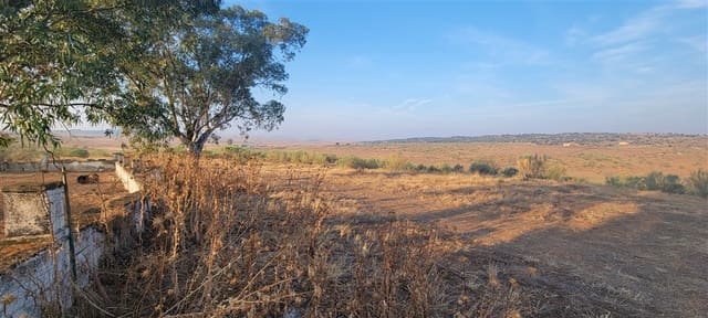 4 sypialnia Finka/Dom wiejski na sprzedaż w Trujillo - 220 000 € (Ref: 8594347)