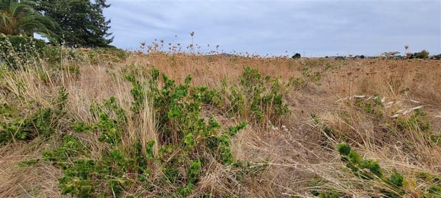 2 chambre Finca/Maison de Campagne à vendre à Trujillo - 149 000 € (Ref: 8594396)