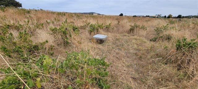 2 chambre Finca/Maison de Campagne à vendre à Trujillo - 149 000 € (Ref: 8594396)