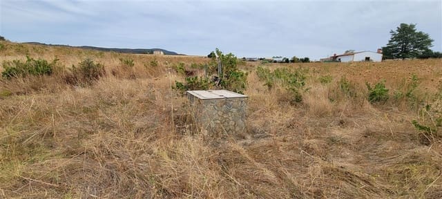 2 chambre Finca/Maison de Campagne à vendre à Trujillo - 149 000 € (Ref: 8594396)