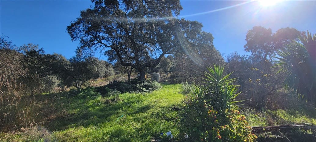 3 soverom Finca/Herregård til salgs i Trujillo med svømmebasseng - € 115 000 (Ref: 8791737)