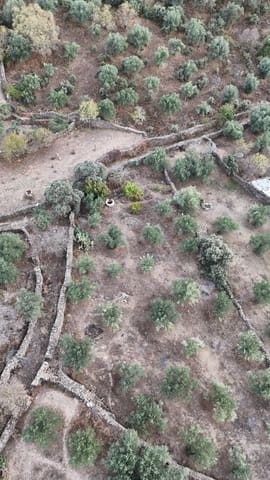 Undeveloped Land for sale in Madroñera - € 8,799 (Ref: 8838102)