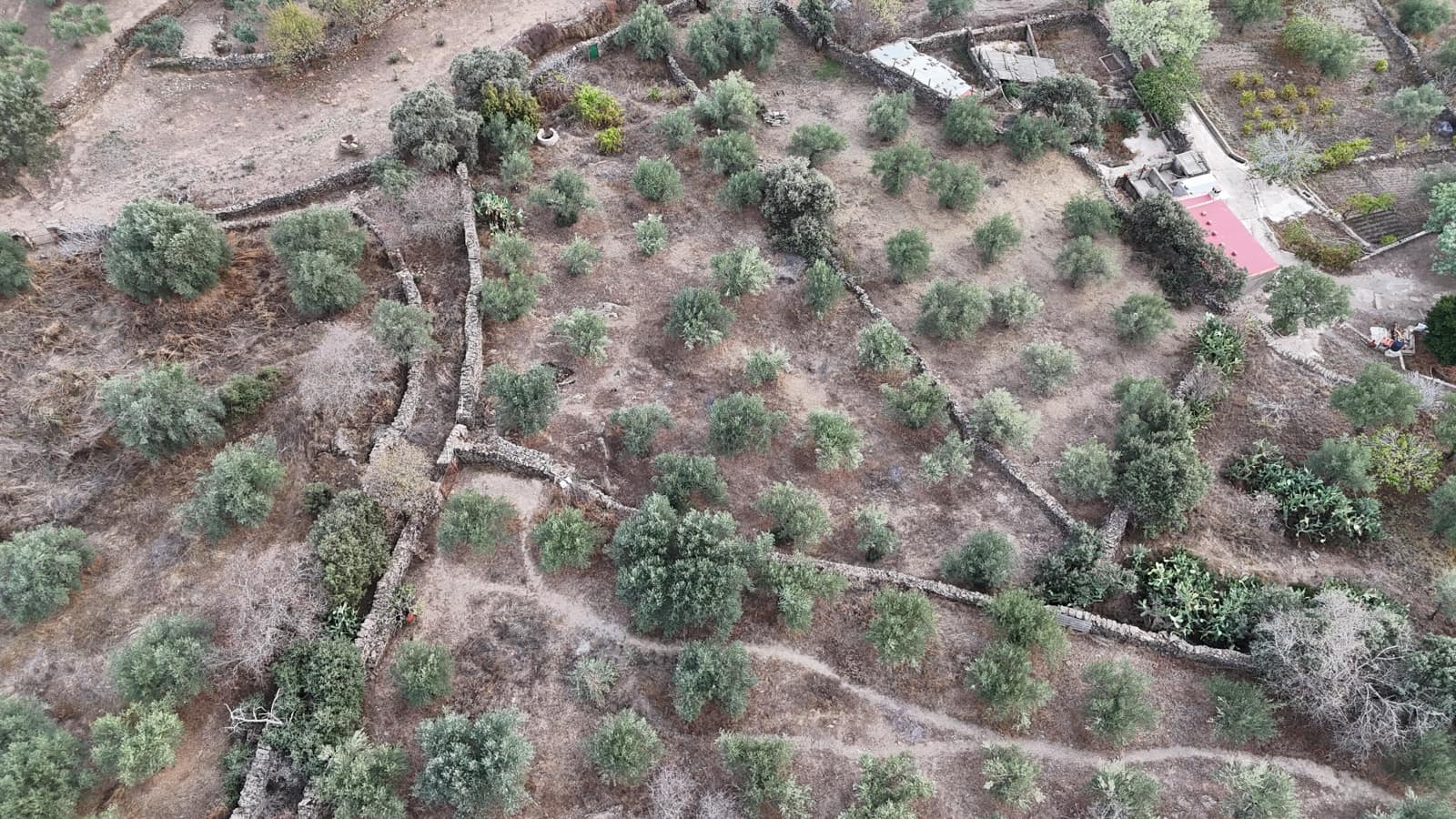 Undeveloped Land for sale in Madronera - € 8,799 (Ref: 8838102)