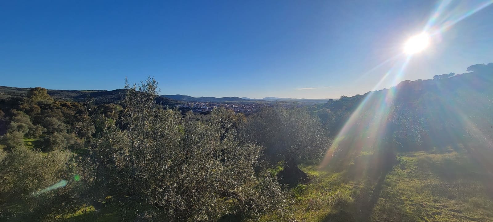 Undeveloped Land for sale in Madronera - € 8,799 (Ref: 8838102)