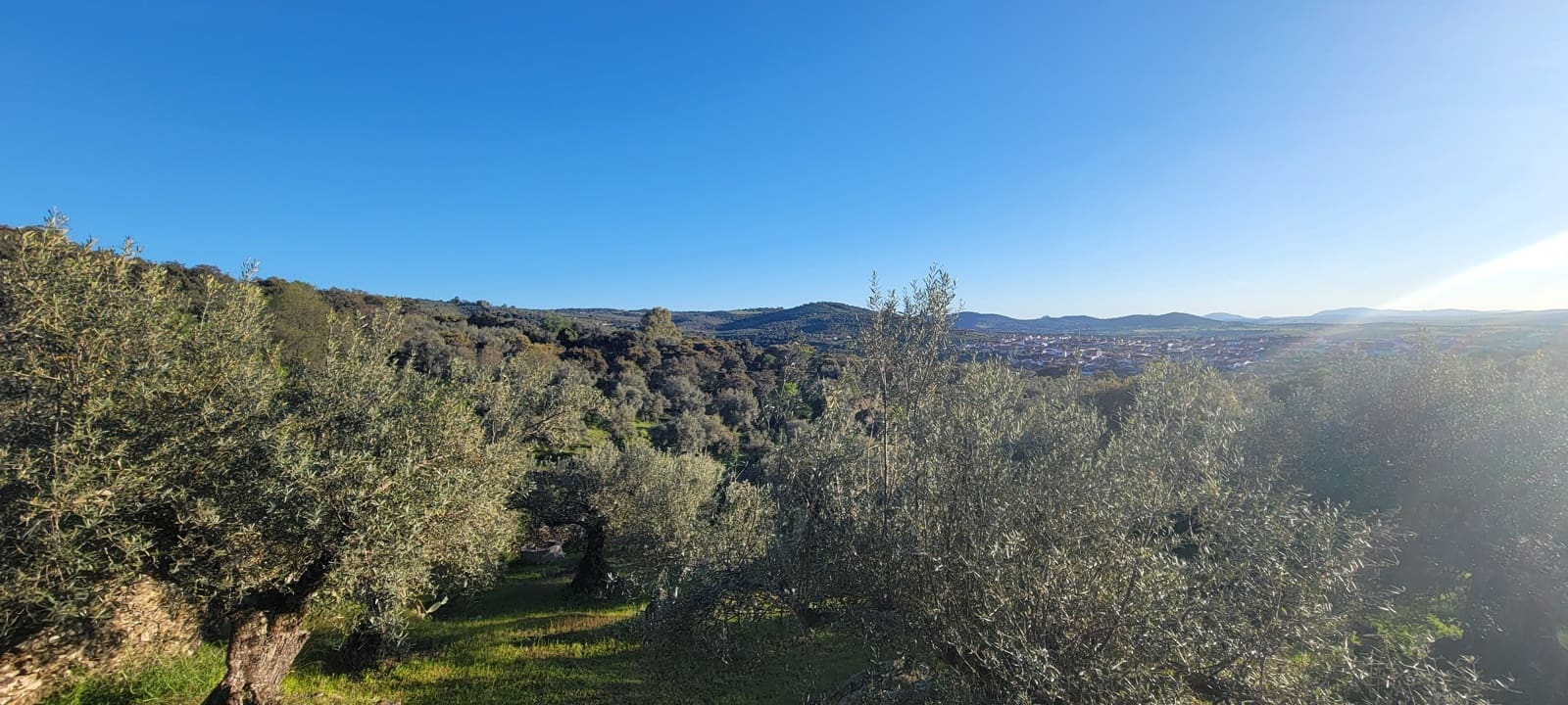 Undeveloped Land for sale in Madronera - € 8,799 (Ref: 8838102)