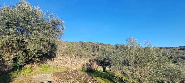 Undeveloped Land for sale in Madroñera - € 8,799 (Ref: 8838102)