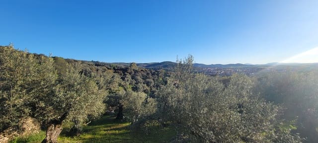 Undeveloped Land for sale in Madroñera - € 8,799 (Ref: 8838102)