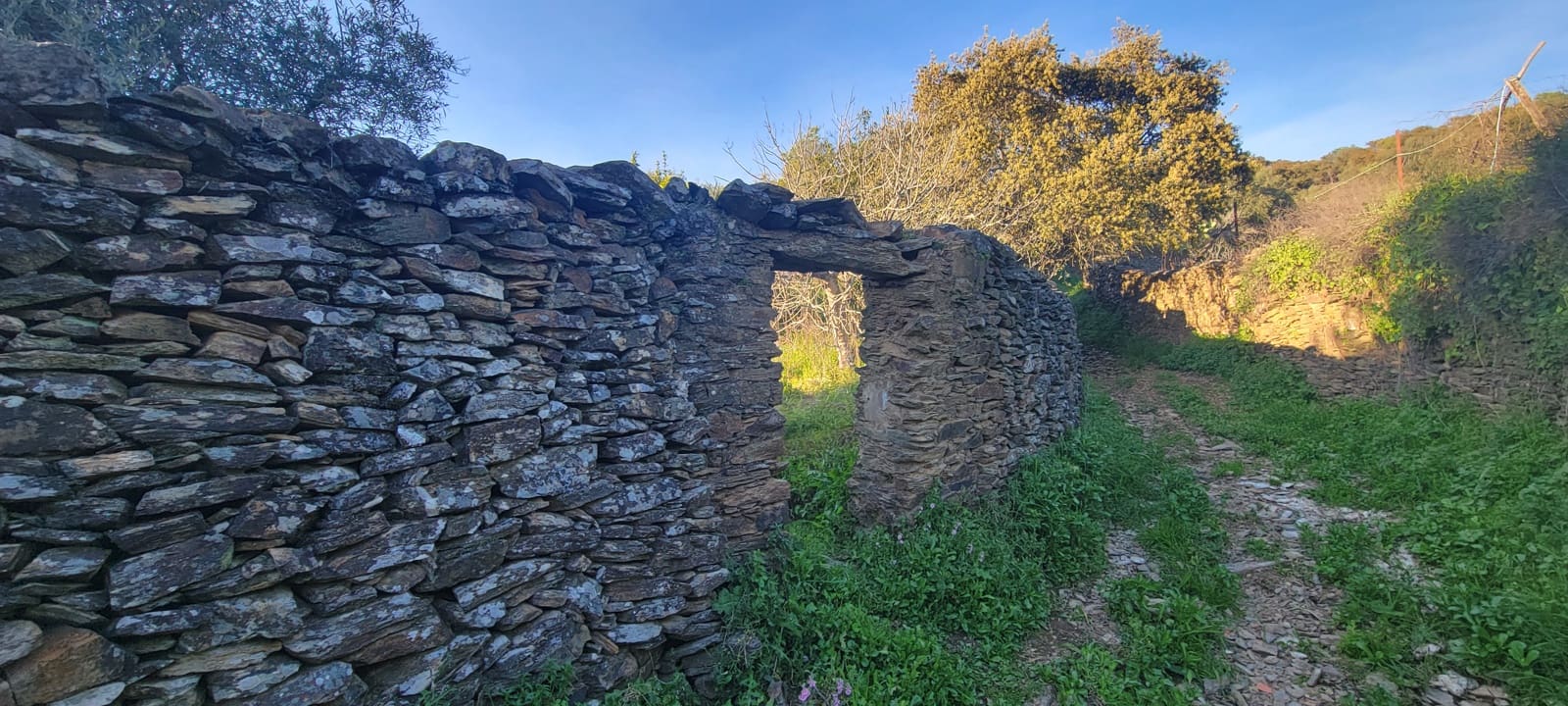 Undeveloped Land for sale in Madronera - € 8,799 (Ref: 8838102)