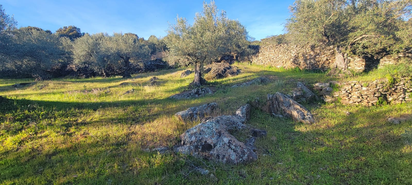 Undeveloped Land for sale in Madronera - € 8,799 (Ref: 8838102)