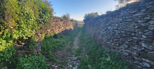 Undeveloped Land for sale in Madroñera - € 8,799 (Ref: 8838102)