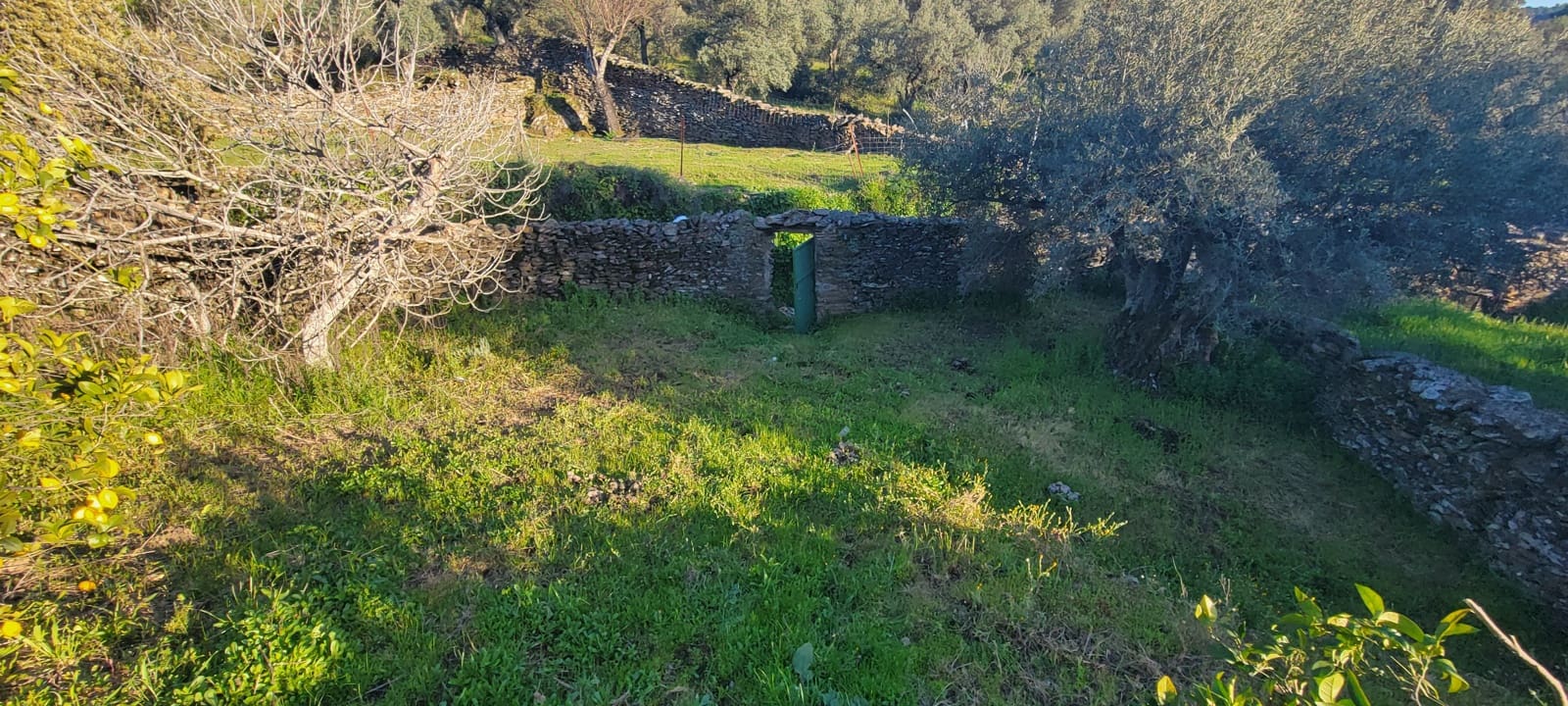 Undeveloped Land for sale in Madronera - € 8,799 (Ref: 8838102)