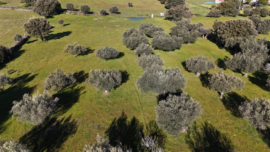 Finca/Landehus til salg i Trujillo - € 49.950 (Ref: 8956601)