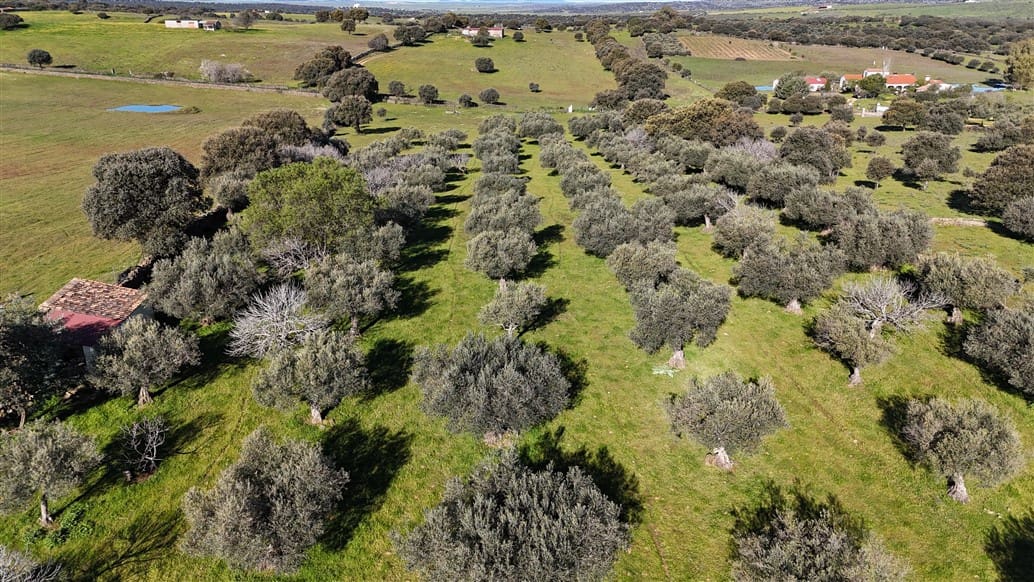 Finca/Landehus til salg i Trujillo - € 49.950 (Ref: 8956601)