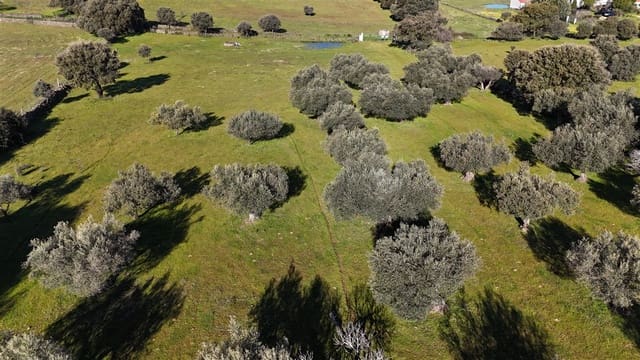 Finca/Maison de Campagne à vendre à Trujillo - 49 950 € (Ref: 8956601)