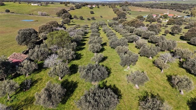 Finca/Maison de Campagne à vendre à Trujillo - 49 950 € (Ref: 8956601)