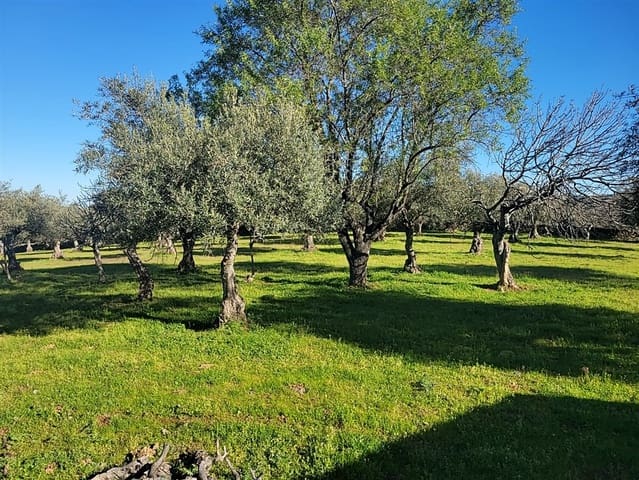 Finca/Maison de Campagne à vendre à Trujillo - 49 950 € (Ref: 8956601)