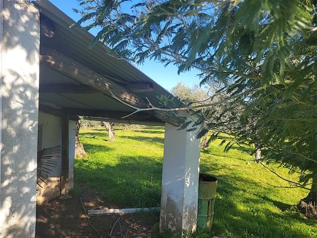 Finca/Maison de Campagne à vendre à Trujillo - 49 950 € (Ref: 8956601)