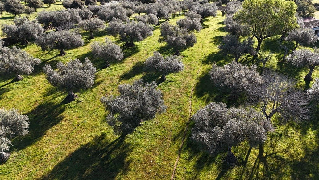 Finca/Landehus til salg i Trujillo - € 49.950 (Ref: 8956601)