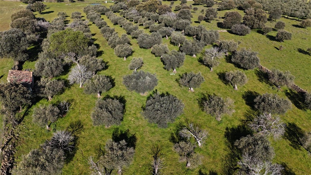 Finca/Landehus til salg i Trujillo - € 49.950 (Ref: 8956601)