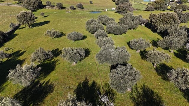 Finca/Maison de Campagne à vendre à Trujillo - 49 950 € (Ref: 8956601)