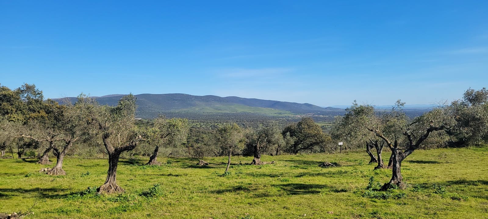 Finca/Landehus til salg i Trujillo - € 84.000 (Ref: 8956852)