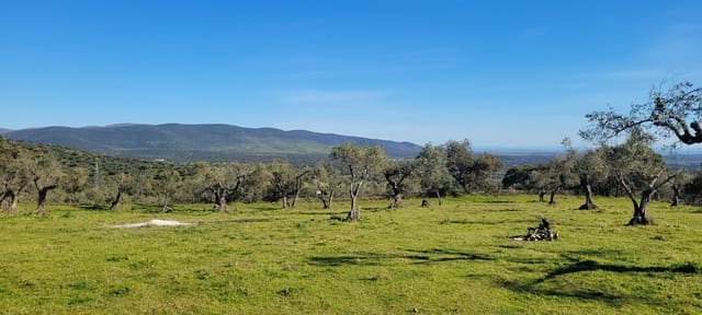 Grunde uden byggetilladelser til salg i Trujillo - € 84.000 (Ref: 8956852)