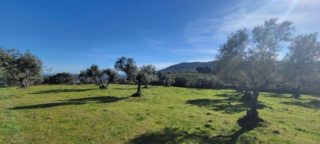 Finca/Maison de Campagne à vendre à Trujillo - 84 000 € (Ref: 8956852)