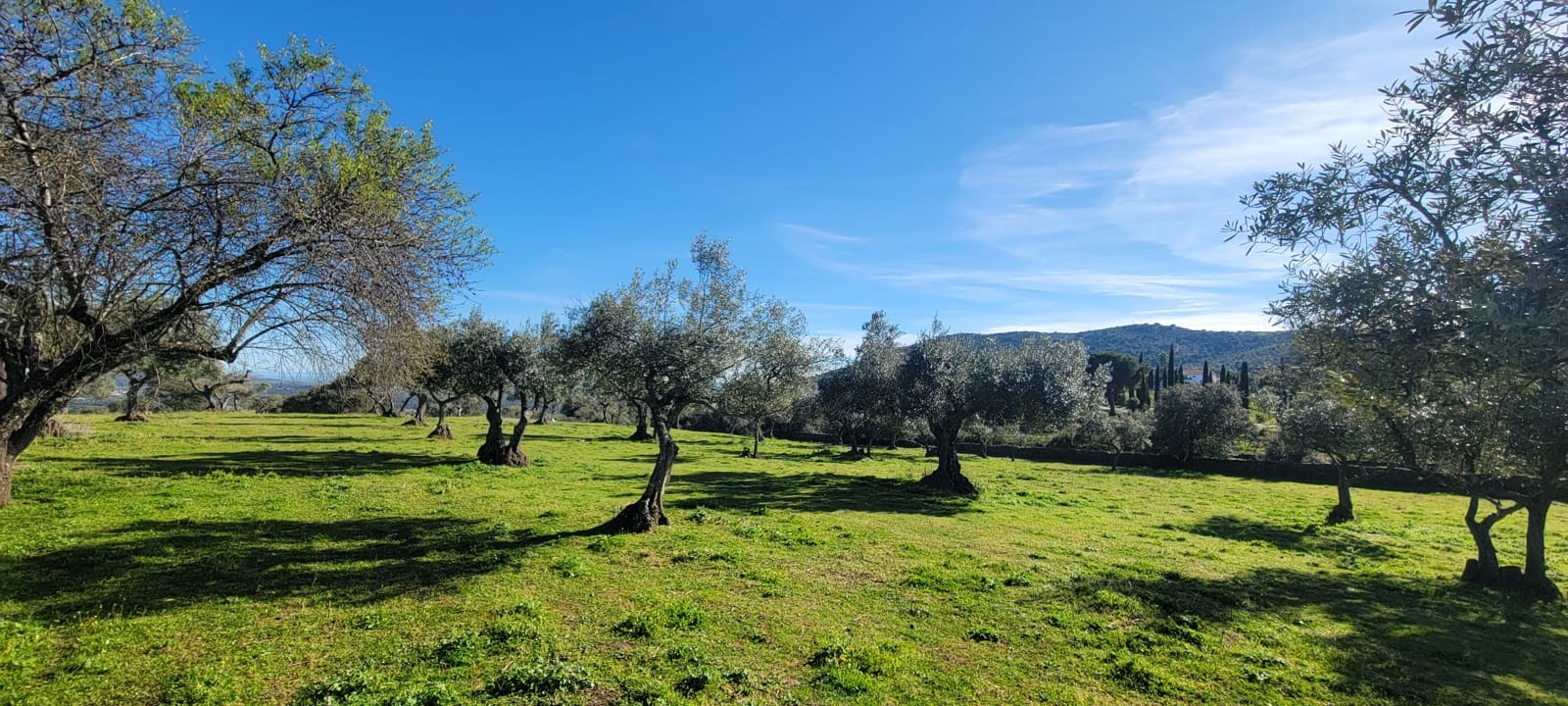 Finca/Landehus til salg i Trujillo - € 84.000 (Ref: 8956852)