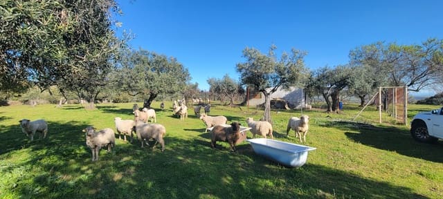 Finca/Maison de Campagne à vendre à Trujillo - 84 000 € (Ref: 8956852)