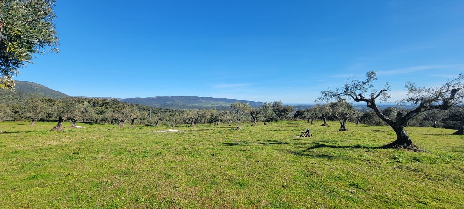 Finca/Landehus til salg i Trujillo - € 84.000 (Ref: 8956852)