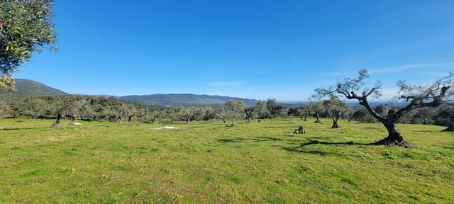 Grunde uden byggetilladelser til salg i Trujillo - € 84.000 (Ref: 8956852)