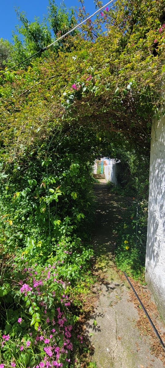 8 soverom Hus til salgs i Trujillo - € 296 000 (Ref: 8987950)