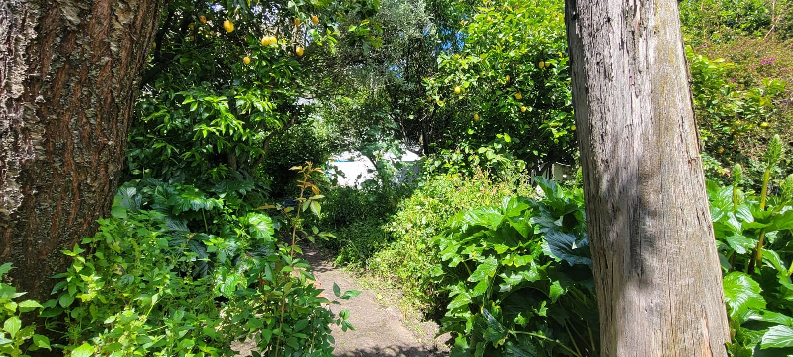 8 soverom Hus til salgs i Trujillo - € 296 000 (Ref: 8987950)