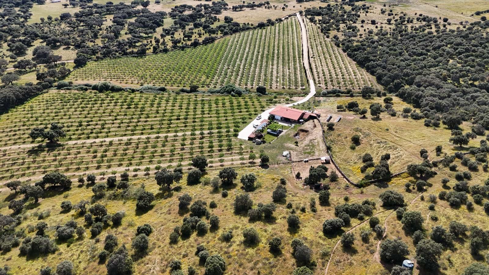 3 bedroom Finca/Country House for sale in Trujillo with garage - € 779,000 (Ref: 9007722)