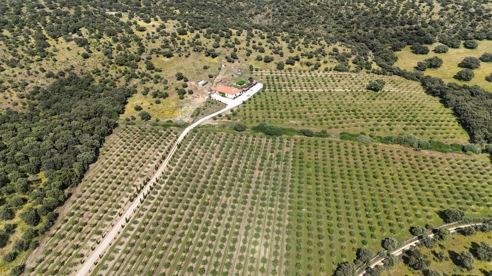 3 bedroom Finca/Country House for sale in Trujillo with garage - € 779,000 (Ref: 9007722)