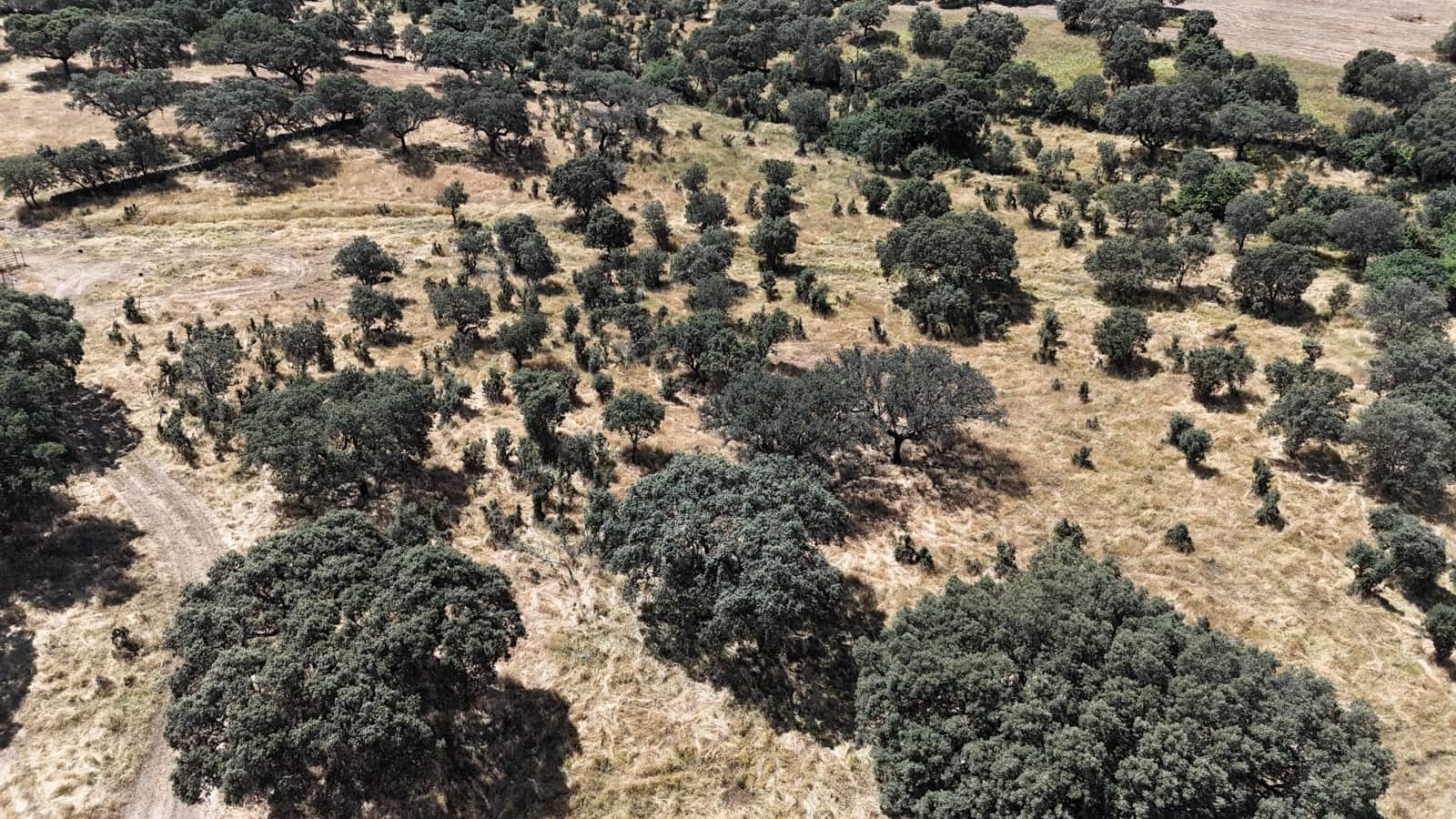 3 soveværelse Finca/Landehus til salg i Trujillo med garage - € 125.000 (Ref: 9038253)