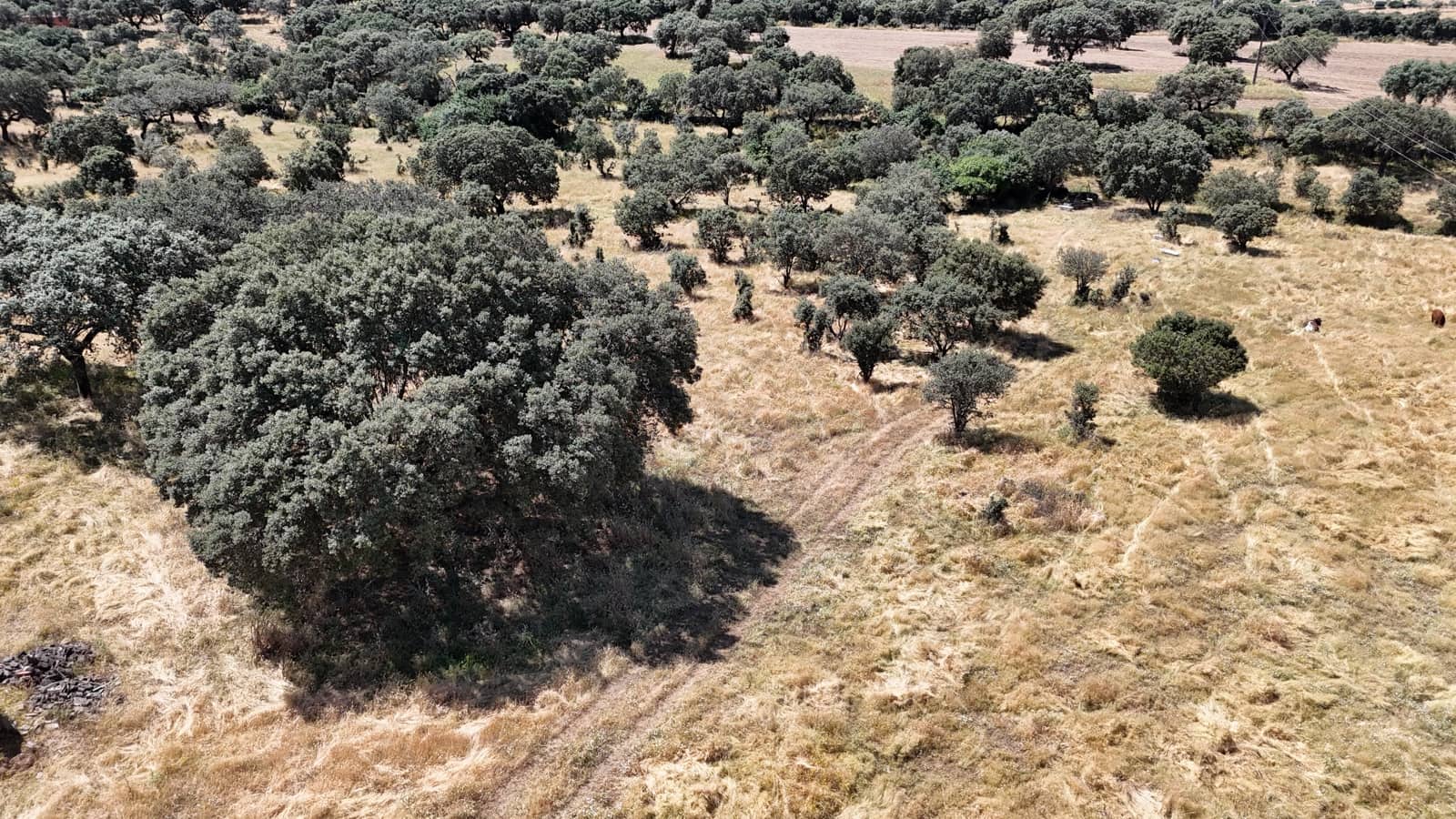 3 soveværelse Finca/Landehus til salg i Trujillo med garage - € 125.000 (Ref: 9038253)