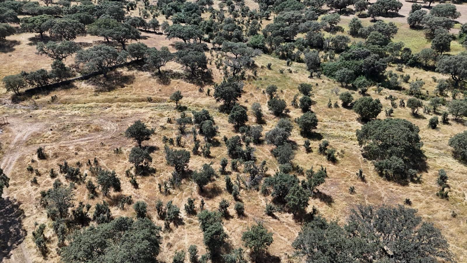 3 soveværelse Finca/Landehus til salg i Trujillo med garage - € 125.000 (Ref: 9038253)