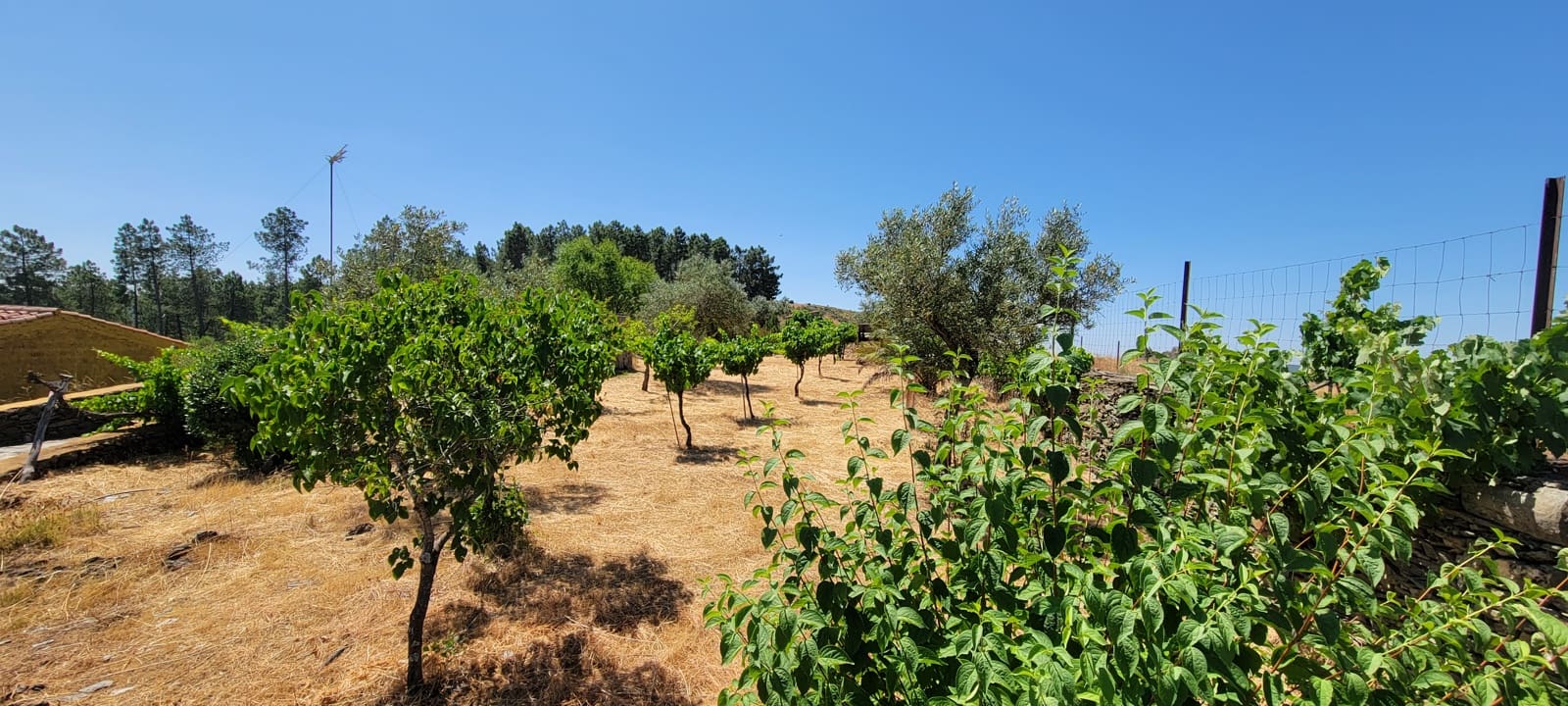 2 bedroom Finca/Country House for sale in Trujillo with garage - € 375,000 (Ref: 9126292)