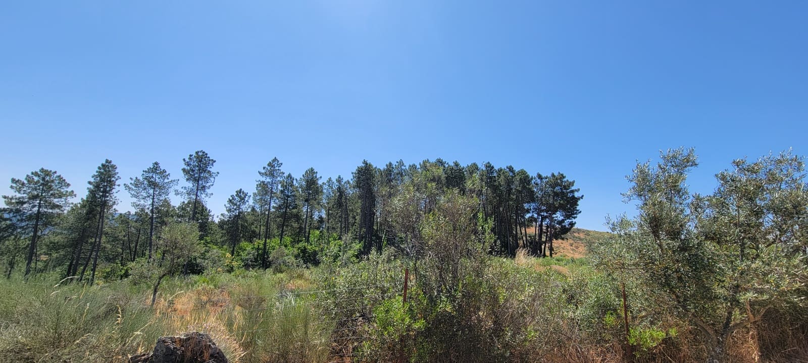 2 bedroom Finca/Country House for sale in Trujillo with garage - € 375,000 (Ref: 9126292)