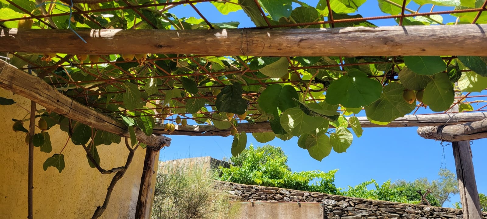 2 bedroom Finca/Country House for sale in Trujillo with garage - € 375,000 (Ref: 9126292)