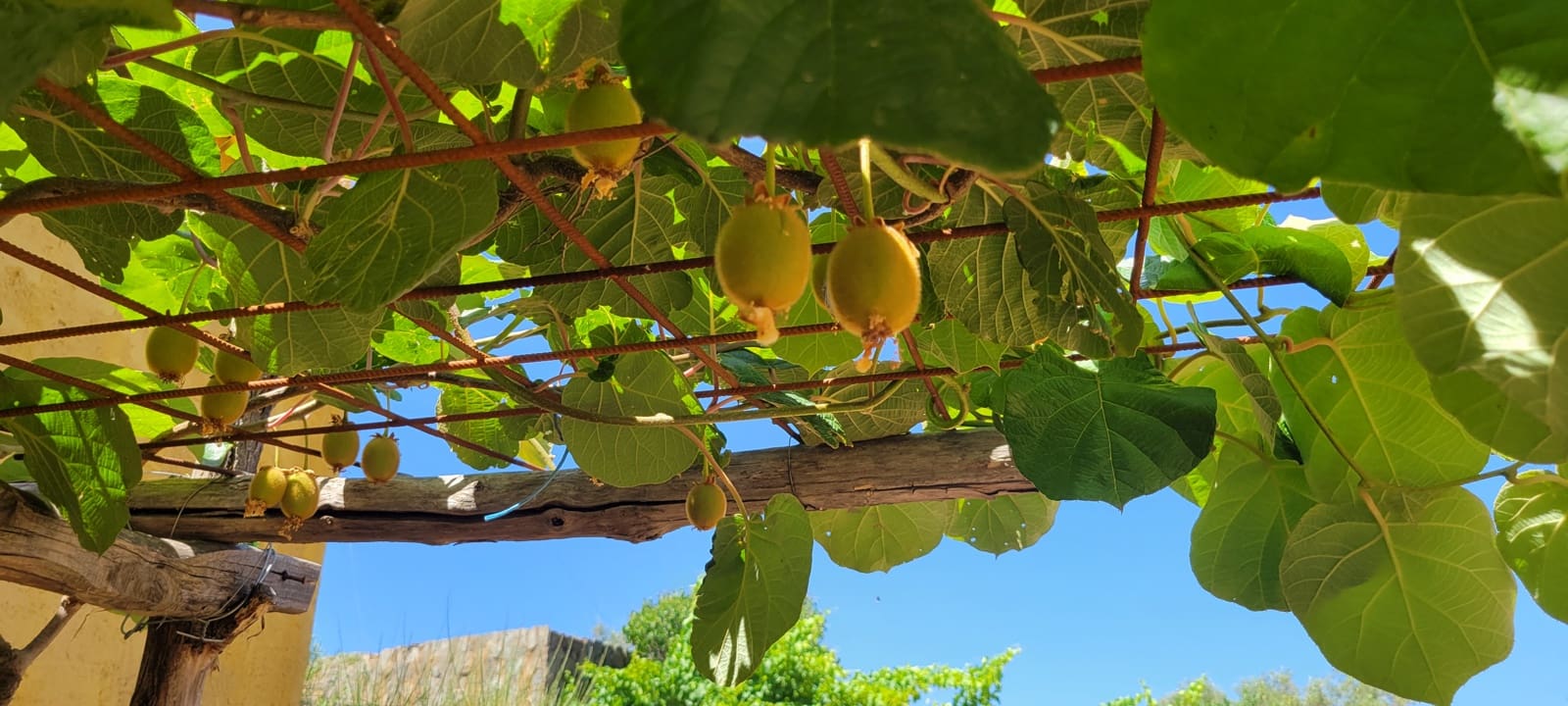 2 bedroom Finca/Country House for sale in Trujillo with garage - € 375,000 (Ref: 9126292)